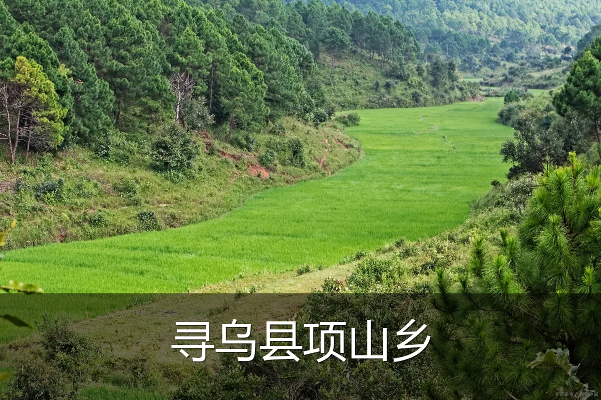 寻乌县项山乡